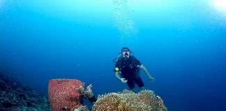 Đảo Bunaken - thiên đường lặn biển lý tưởng trong tour du lịch Indonesia